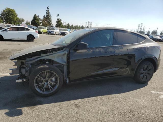 TESLA MODEL Y 2024 7saygded9rf177505