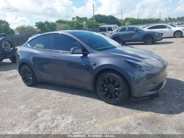 TESLA MODEL Y 2023 7saygdedxpf942539