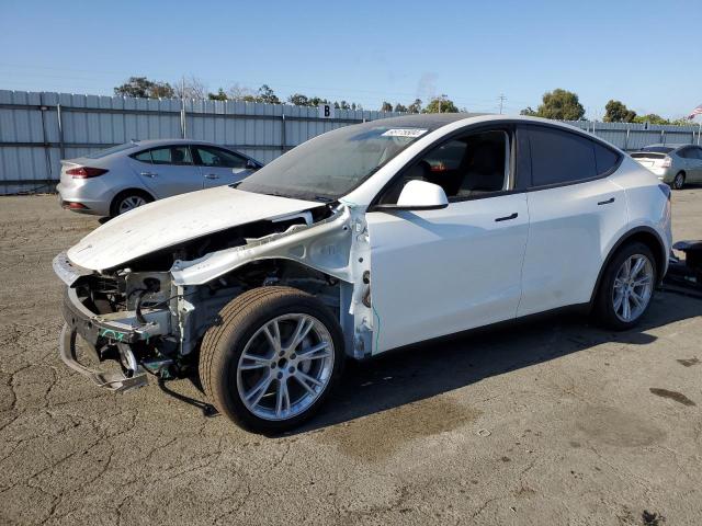 TESLA MODEL Y 2024 7saygdedxrf072598