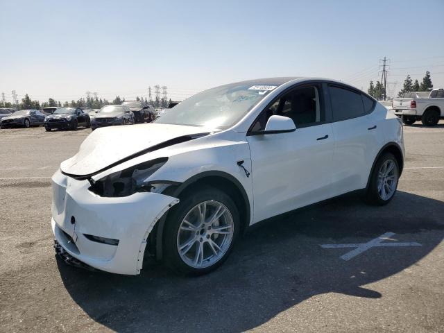 TESLA MODEL Y 2024 7saygdedxrf092091