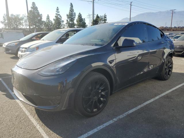 TESLA MODEL Y 2024 7saygdedxrf103509