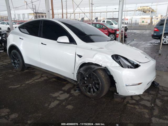 TESLA MODEL Y 2024 7saygdedxrf108967