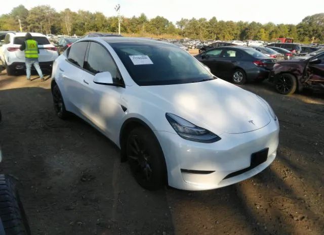 TESLA MODEL Y 2022 7saygdee0na016220