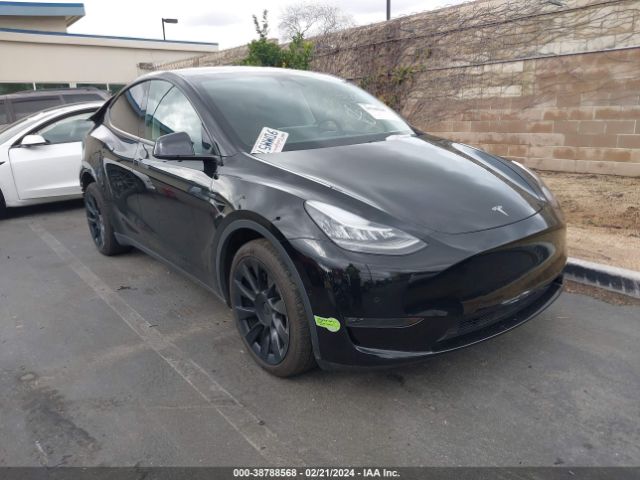 TESLA MODEL Y 2022 7saygdee0na017917