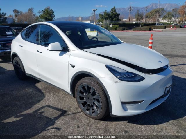 TESLA MODEL Y 2022 7saygdee0na020719