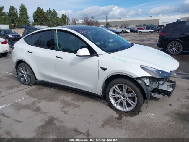 TESLA MODEL Y 2022 7saygdee0nf317332