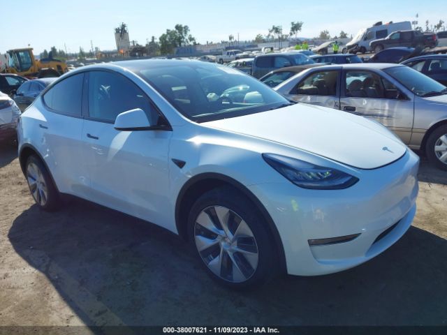 TESLA MODEL Y 2022 7saygdee0nf512072