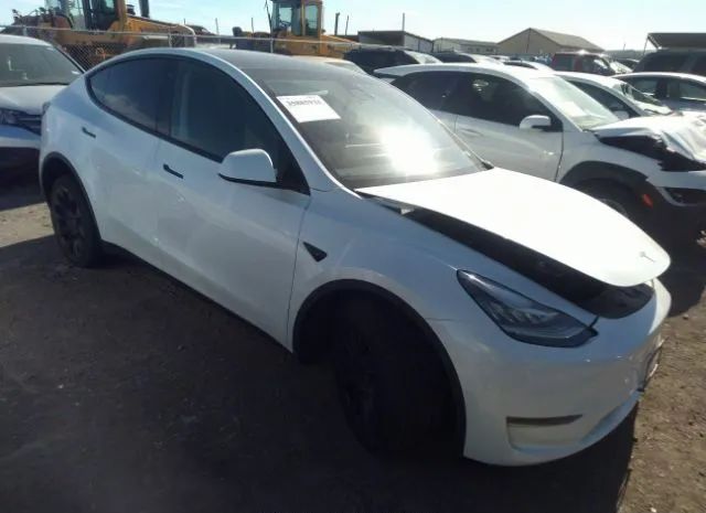 TESLA MODEL Y 2022 7saygdee0pa032582