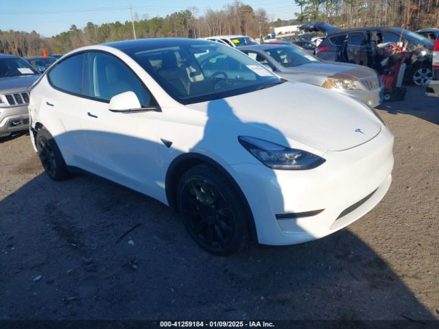 TESLA MODEL Y 2023 7saygdee0pa051312