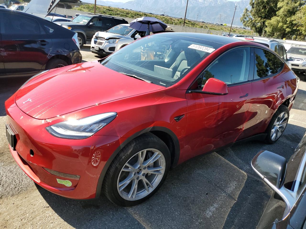 TESLA MODEL Y 2023 7saygdee0pa108379