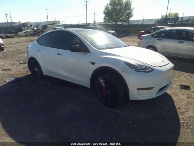 TESLA MODEL Y 2023 7saygdee0pa141270