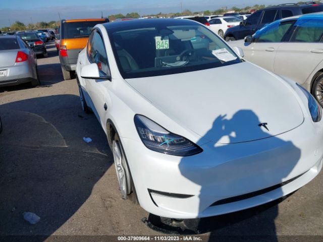 TESLA MODEL Y 2023 7saygdee0pa157839