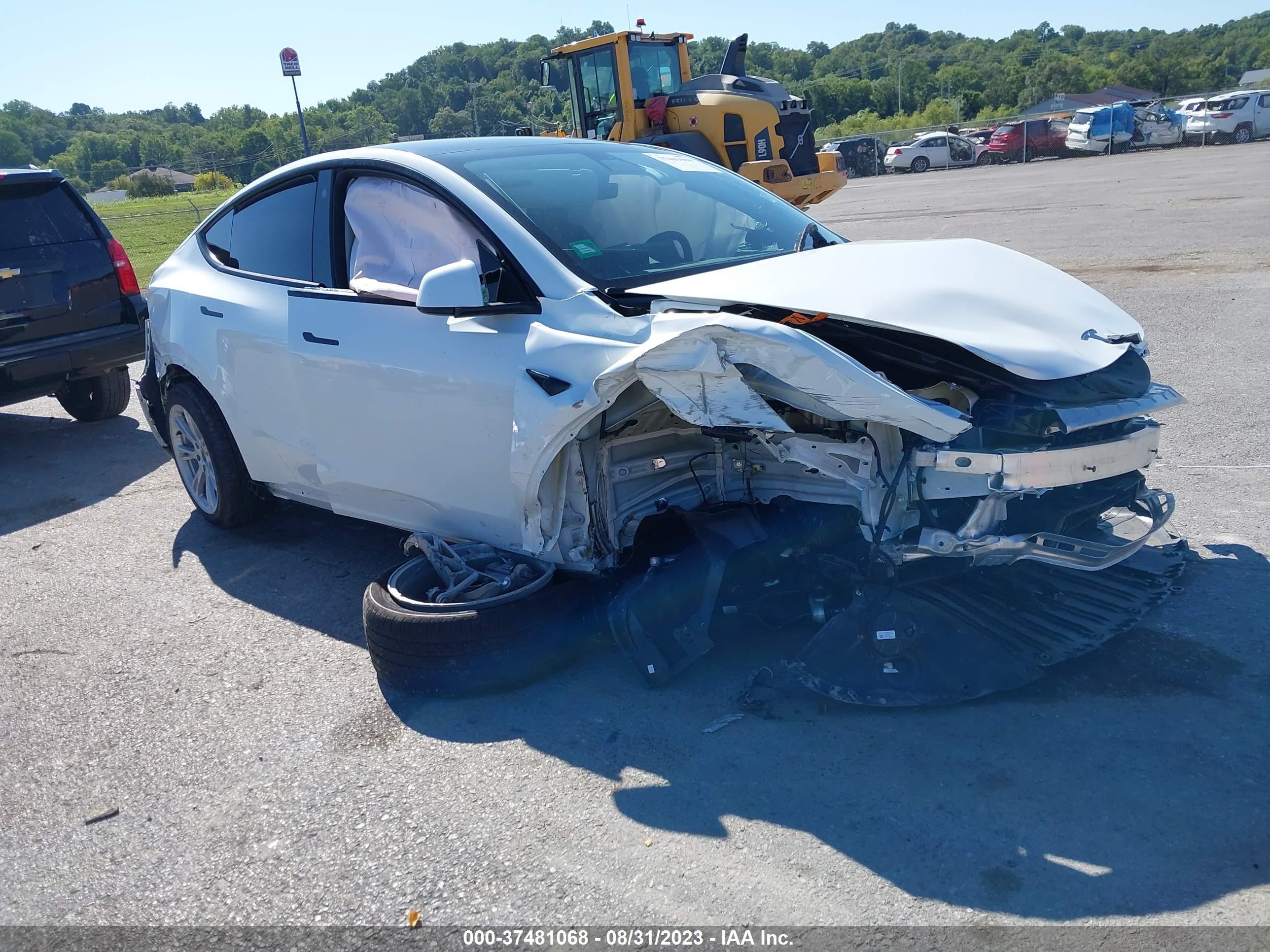 TESLA MODEL Y 2023 7saygdee0pf624311