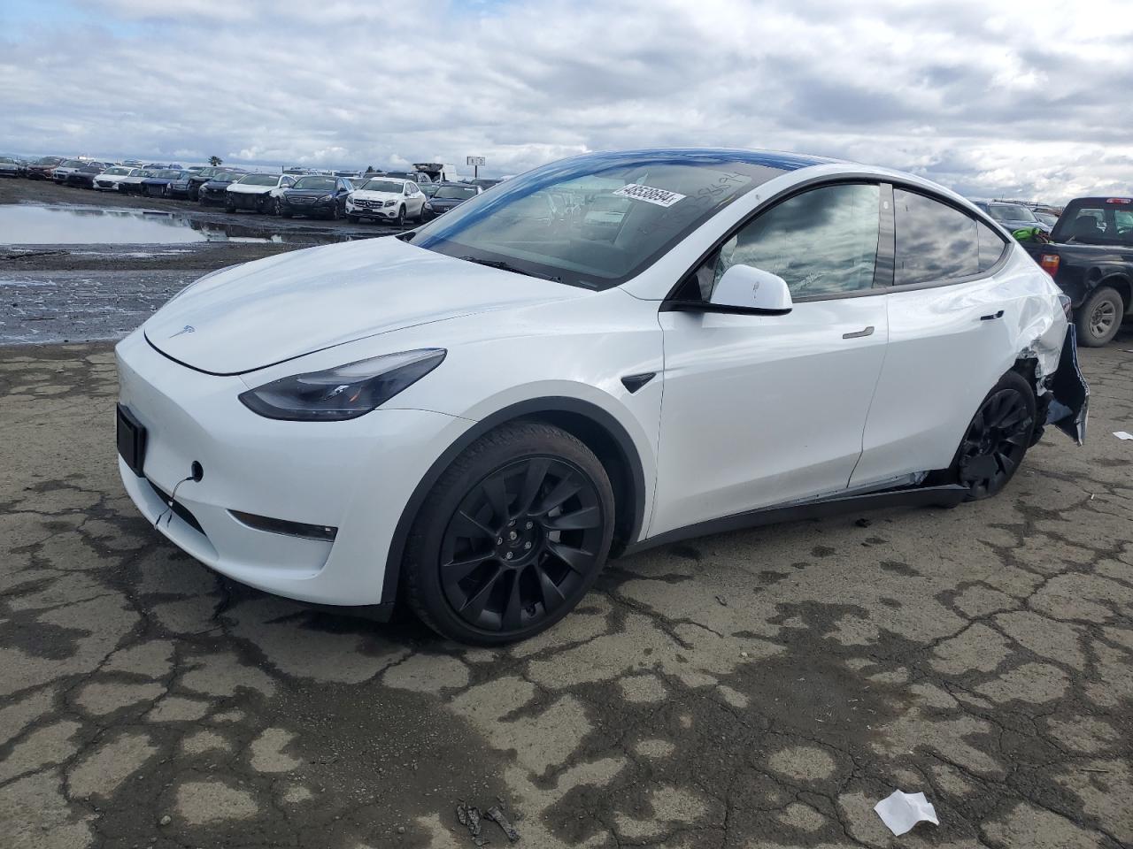 TESLA MODEL Y 2023 7saygdee0pf676277