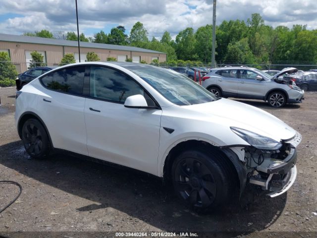 TESLA MODEL Y 2023 7saygdee0pf802038