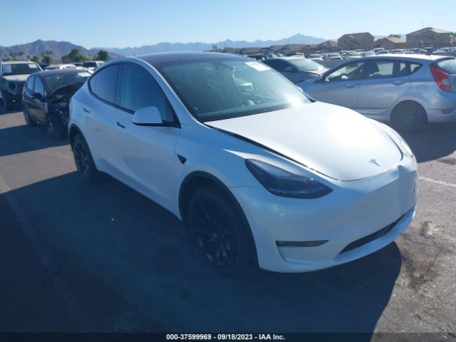 TESLA MODEL Y 2023 7saygdee0pf832527