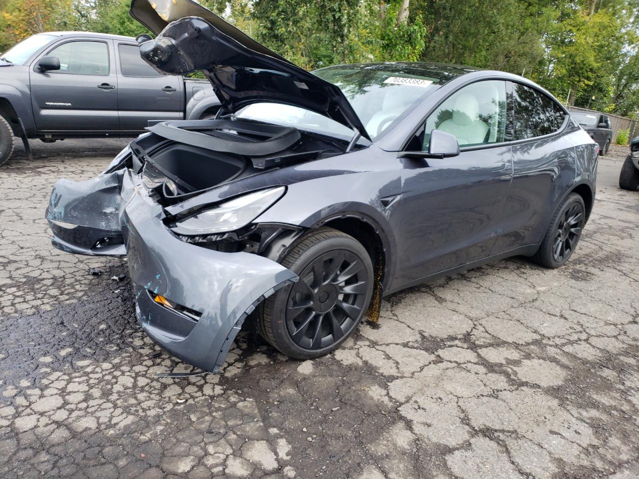 TESLA MODEL Y 2023 7saygdee0pf880867