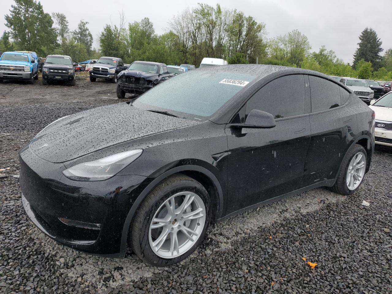 TESLA MODEL Y 2023 7saygdee0pf888578