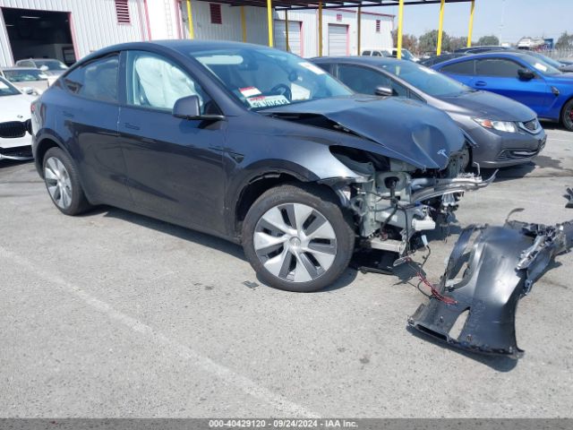 TESLA MODEL Y 2024 7saygdee0ra256700