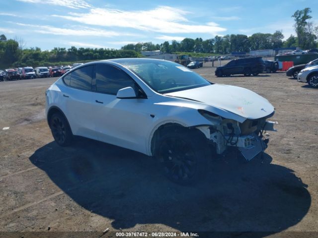 TESLA MODEL Y 2024 7saygdee0ra258365