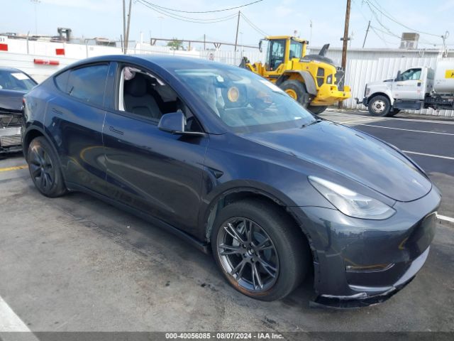 TESLA MODEL Y 2024 7saygdee0rf125799