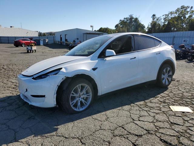 TESLA MODEL Y 2024 7saygdee0rf982107