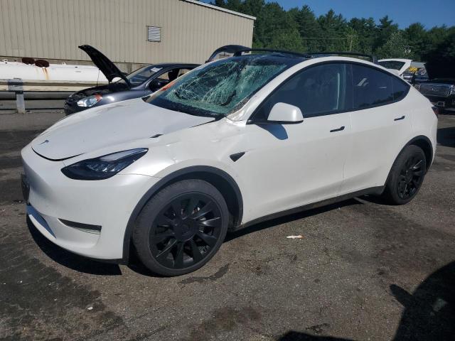 TESLA MODEL Y 2022 7saygdee1na014542