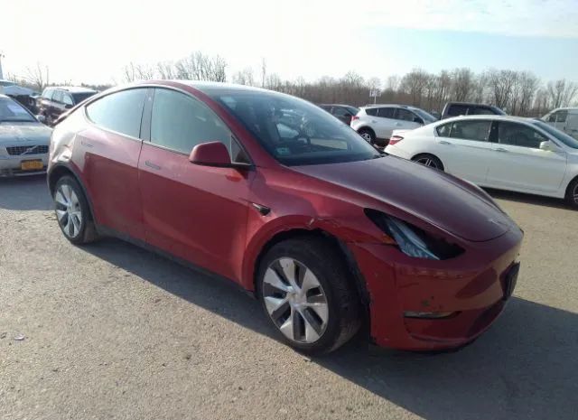 TESLA MODEL Y 2022 7saygdee1na019837