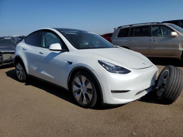 TESLA MODEL Y 2022 7saygdee1nf337573