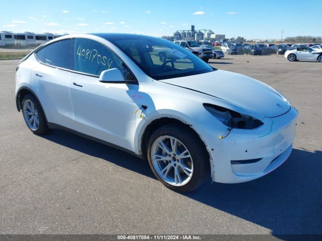 TESLA MODEL Y 2022 7saygdee1nf393223