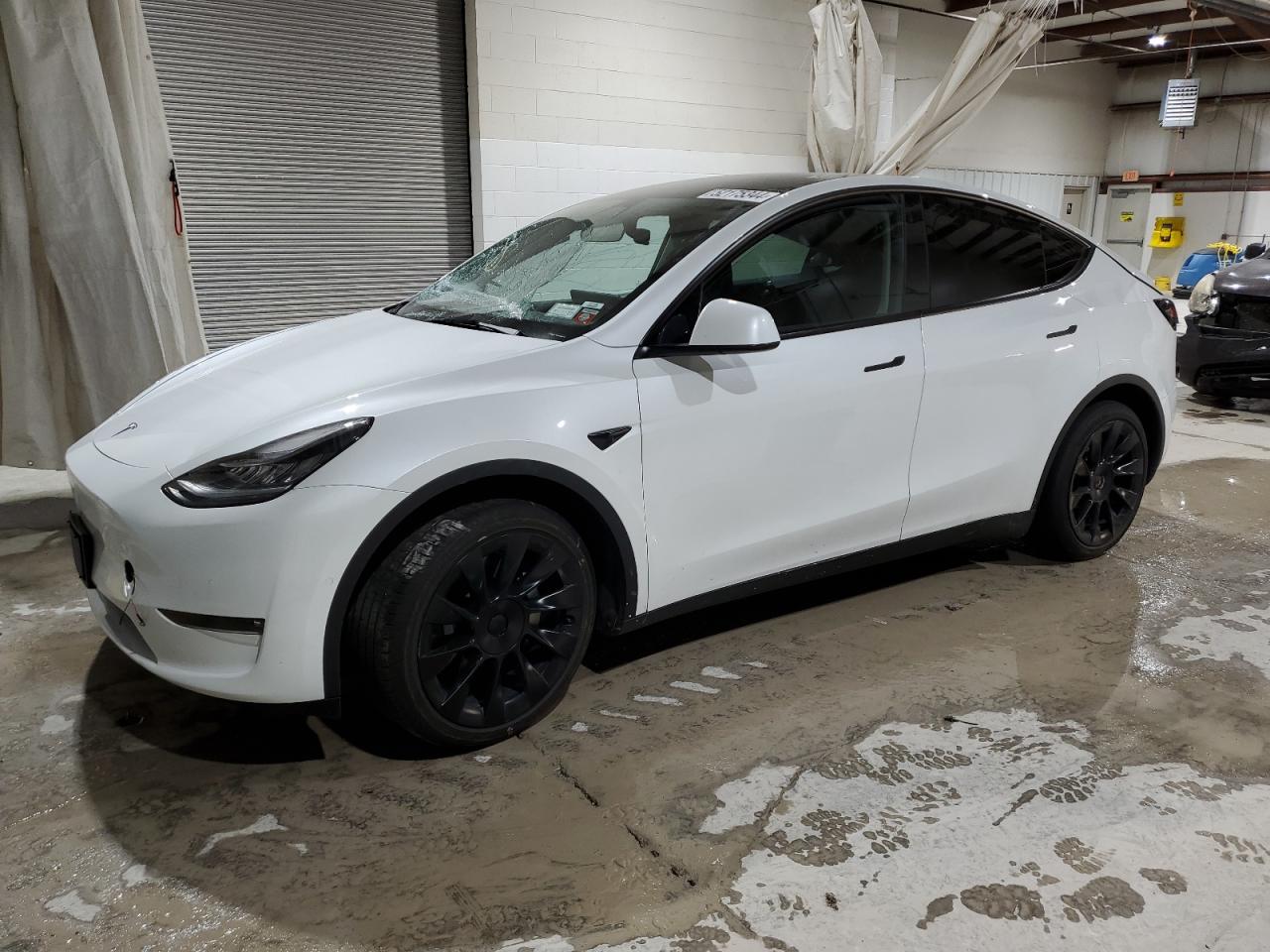 TESLA MODEL Y 2022 7saygdee1nf425491