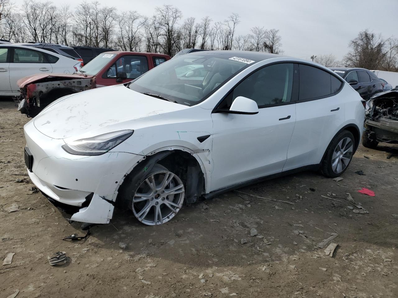 TESLA MODEL Y 2022 7saygdee1nf462508