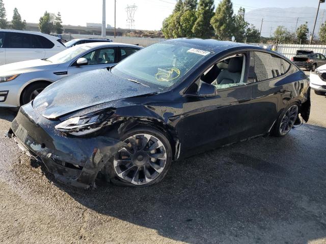 TESLA MODEL Y 2022 7saygdee1nf480572