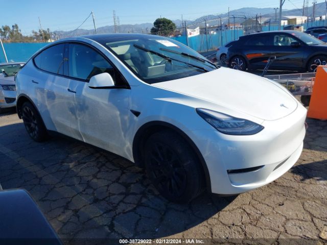 TESLA MODEL Y 2022 7saygdee1nf492530