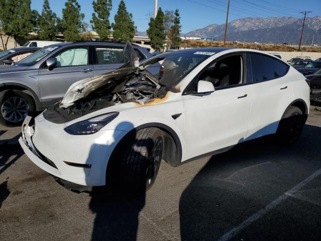 TESLA MODEL Y 2022 7saygdee1nf561748