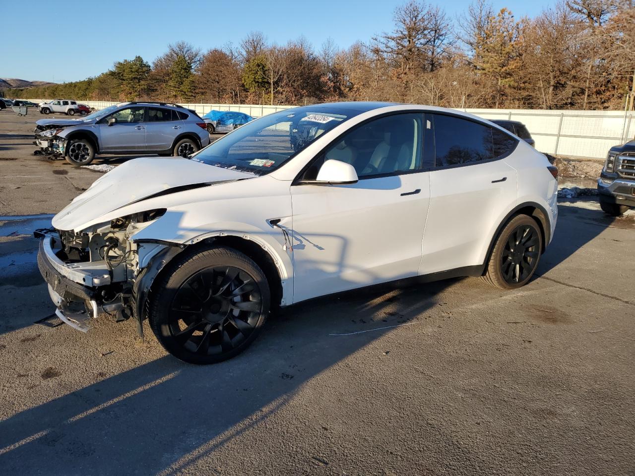 TESLA MODEL Y 2023 7saygdee1pa071102