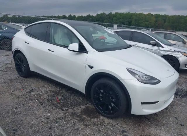 TESLA MODEL Y 2023 7saygdee1pa154268