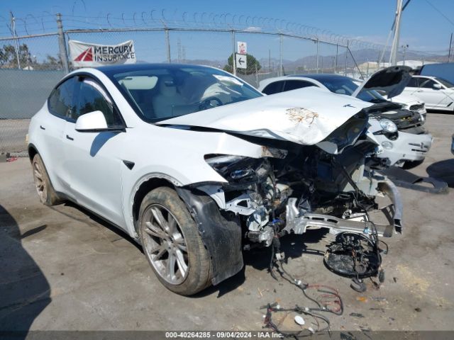 TESLA MODEL Y 2023 7saygdee1pf628111