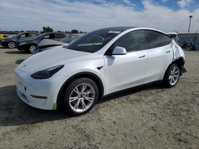 TESLA MODEL Y 2023 7saygdee1pf633311