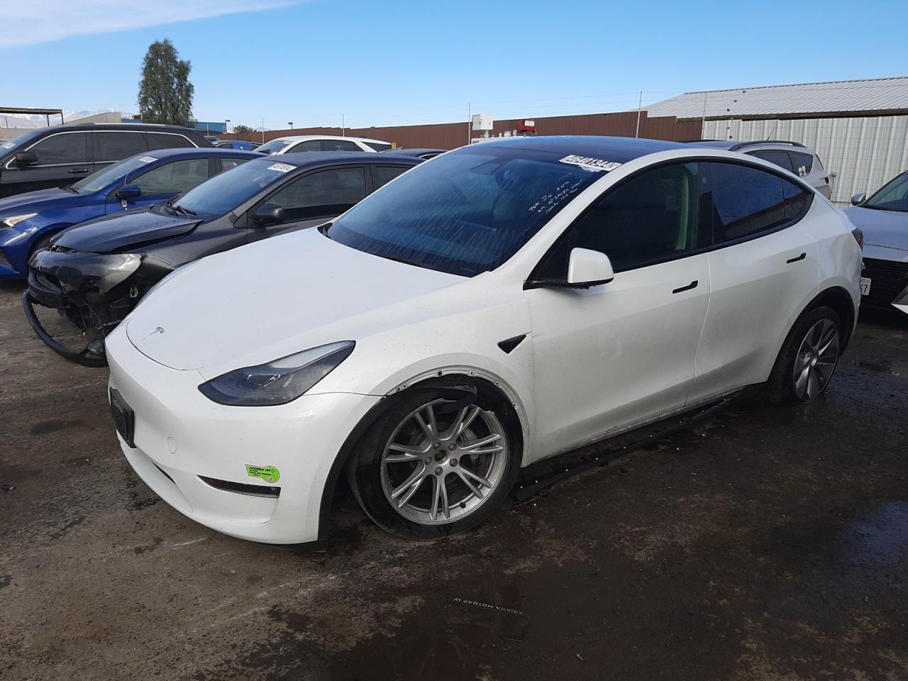 TESLA MODEL Y 2023 7saygdee1pf634166