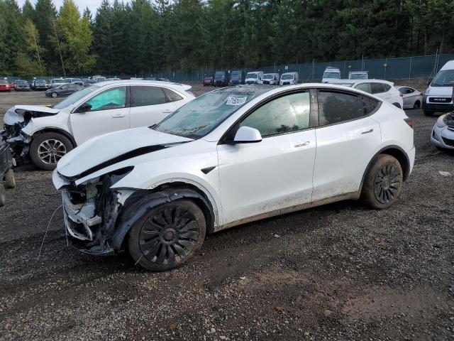 TESLA MODEL Y 2023 7saygdee1pf661626