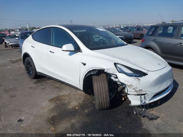 TESLA MODEL Y 2023 7saygdee1pf692164