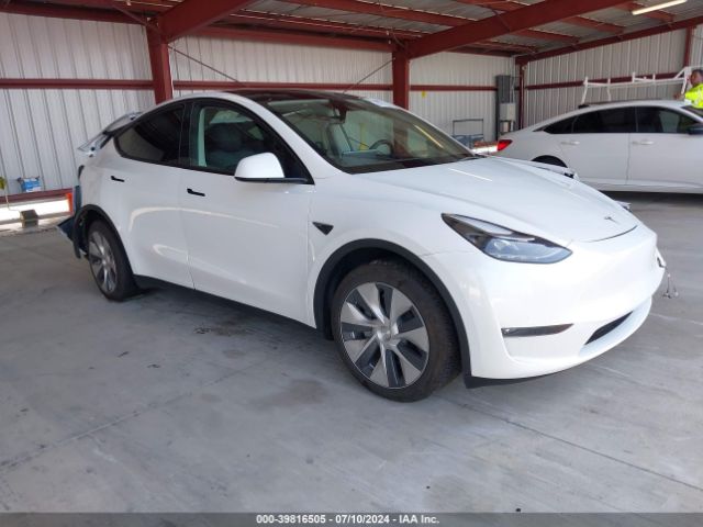 TESLA MODEL Y 2023 7saygdee1pf738088