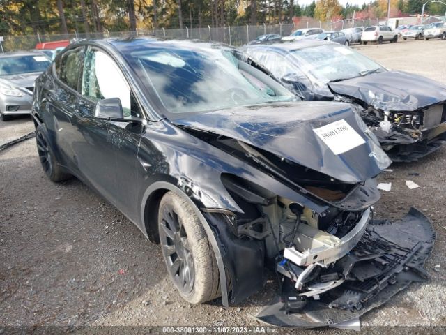 TESLA MODEL Y 2023 7saygdee1pf828115