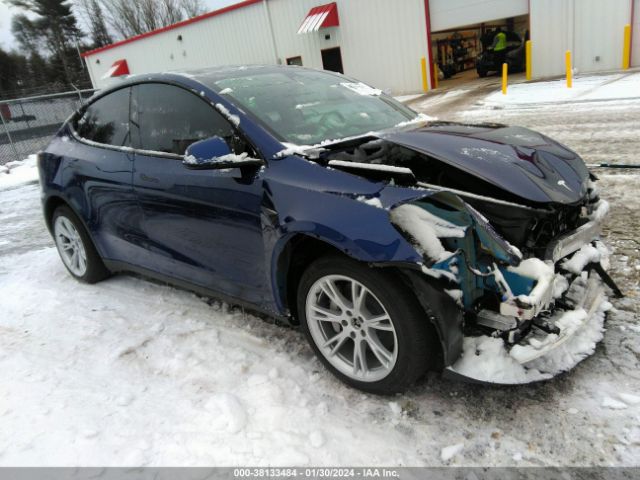 TESLA MODEL Y 2023 7saygdee1pf850826