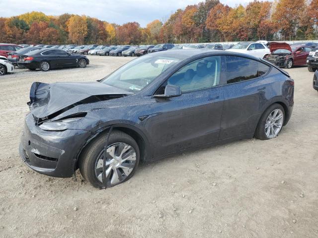 TESLA MODEL Y 2024 7saygdee1ra253742