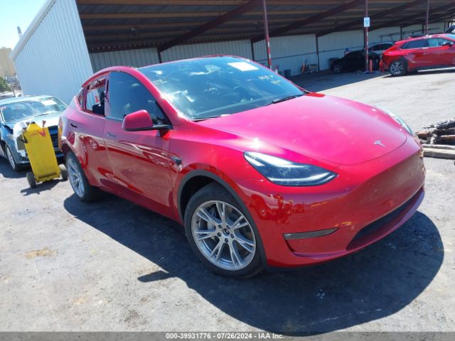 TESLA MODEL Y 2024 7saygdee1rf054483