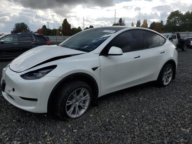 TESLA MODEL Y 2024 7saygdee1rf084714