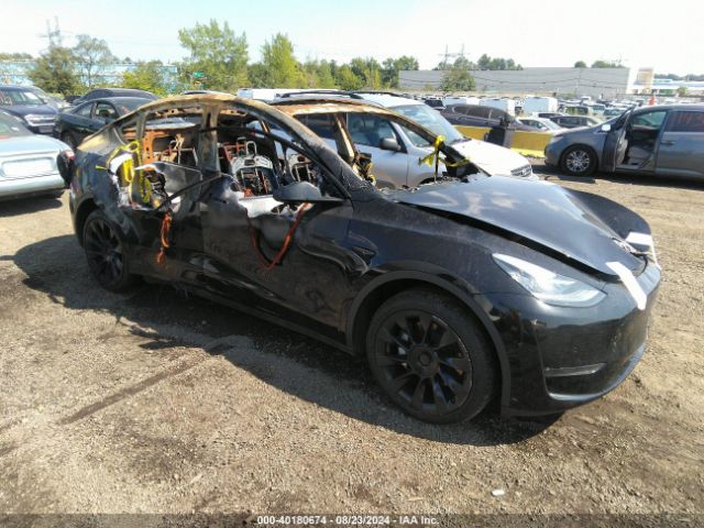 TESLA MODEL Y 2022 7saygdee2na008975