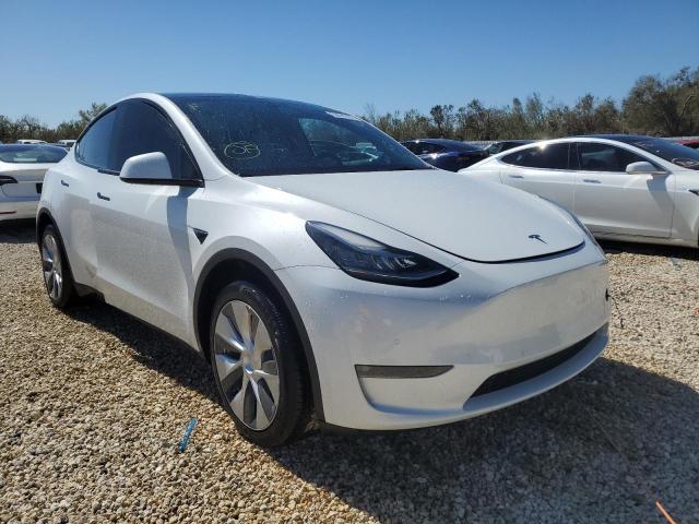 TESLA MODEL Y 2022 7saygdee2nf317123